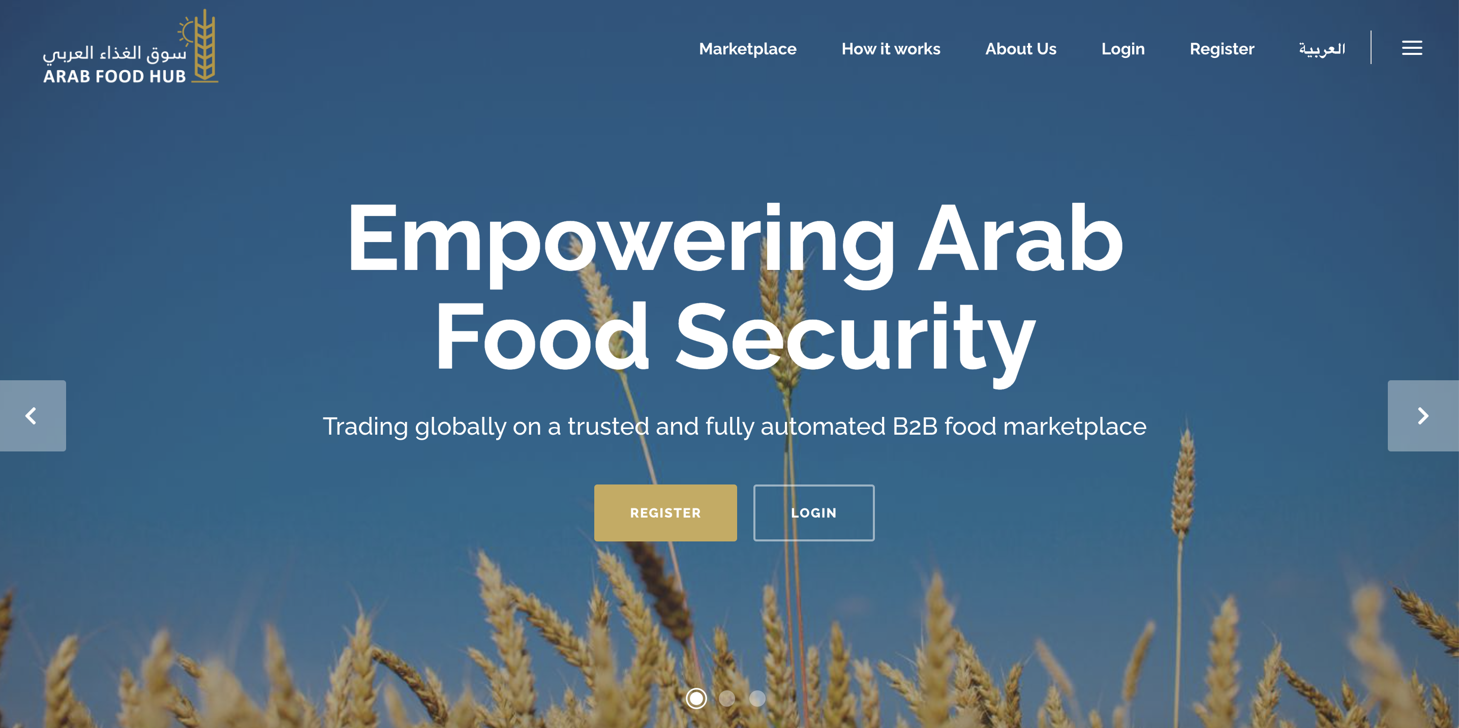 Arab Food Hub project